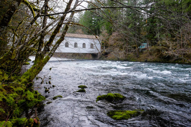 istock Historic Belknap Bridge McKenzie River 658000024
