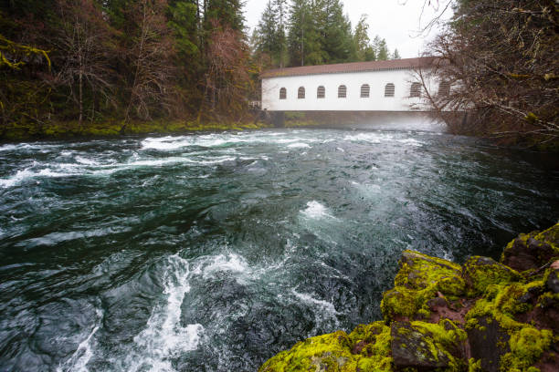 istock Historic Belknap Bridge McKenzie River 658002818