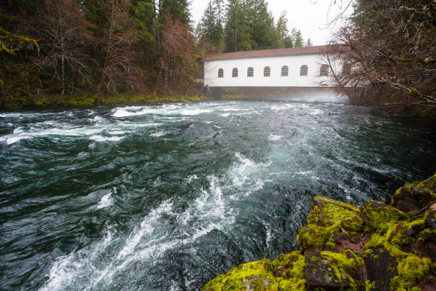 istock Historic Belknap Bridge McKenzie River 658002852