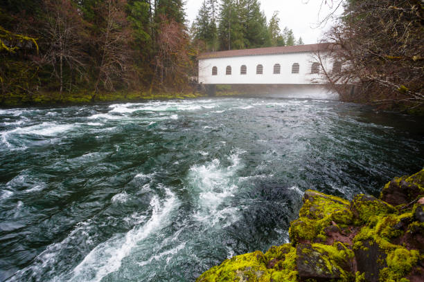 Historic Belknap Bridge McKenzie River