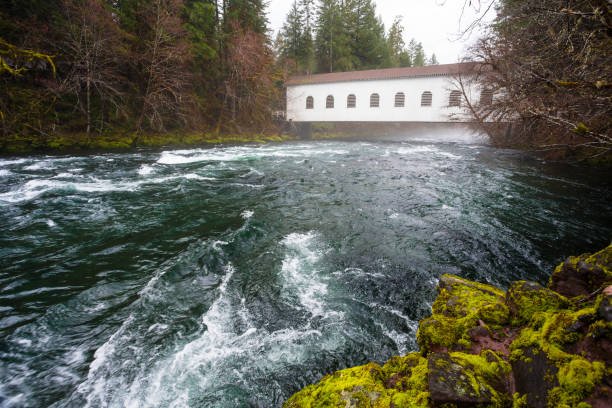 istock Historic Belknap Bridge McKenzie River 658002924