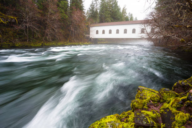 istock Historic Belknap Bridge McKenzie River 658002956