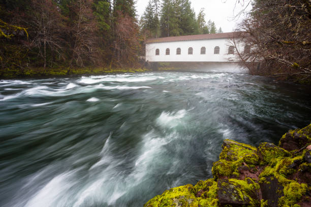 istock Historic Belknap Bridge McKenzie River 658002980