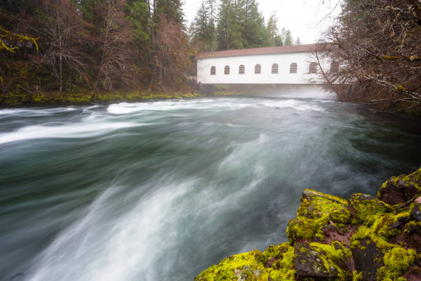 istock Historic Belknap Bridge McKenzie River 658003010