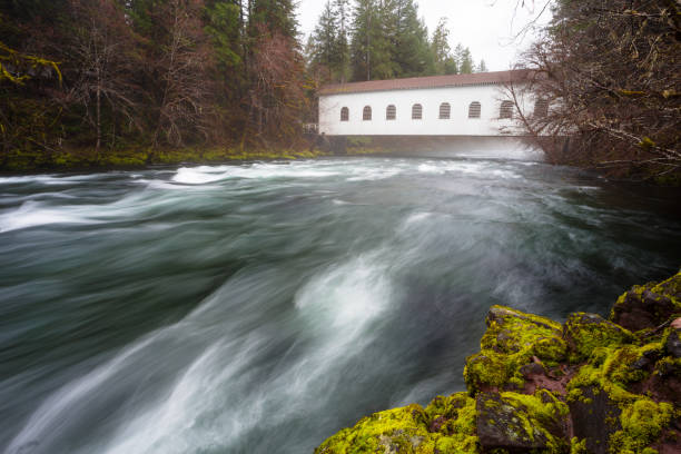 istock Historic Belknap Bridge McKenzie River 658005026