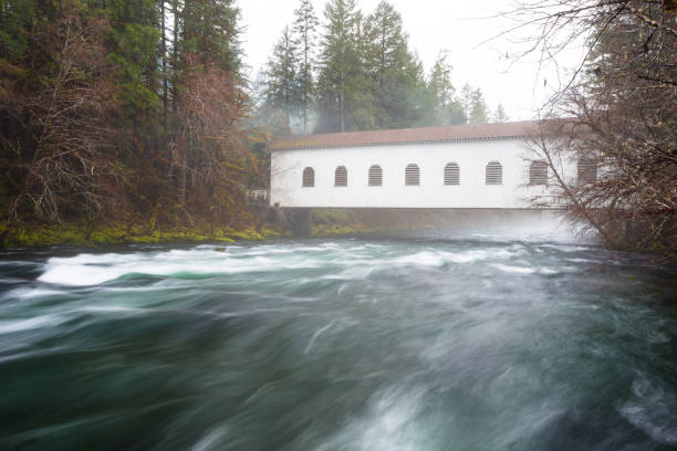 istock Historic Belknap Bridge McKenzie River 658005142