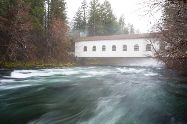 istock Historic Belknap Bridge McKenzie River 658005160
