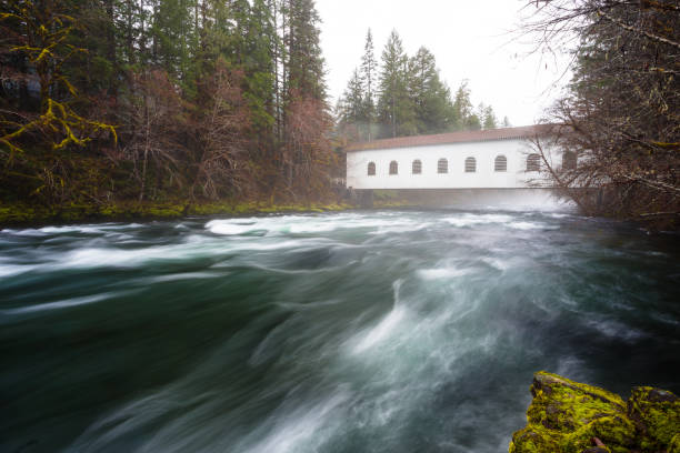 istock Historic Belknap Bridge McKenzie River 658005218