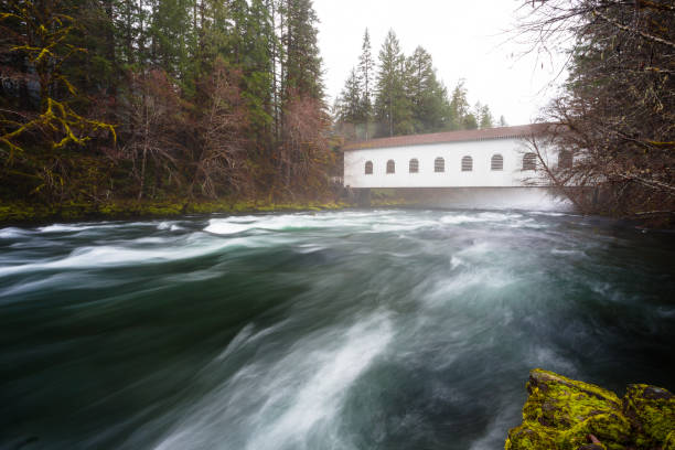 istock Historic Belknap Bridge McKenzie River 658005248