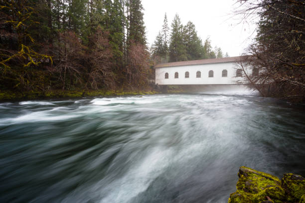 istock Historic Belknap Bridge McKenzie River 658005270