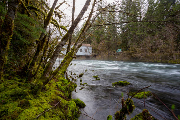 istock Historic Belknap Bridge McKenzie River 658005322