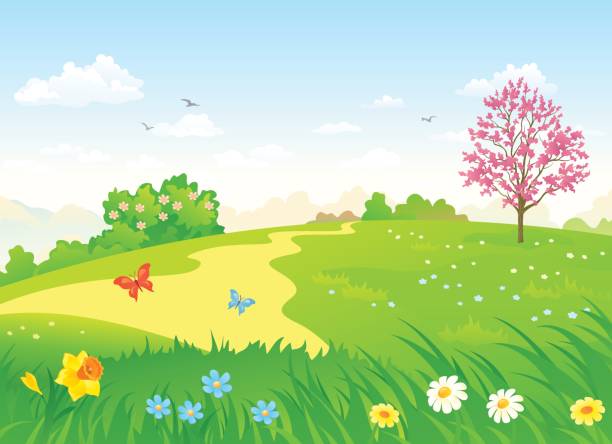 spring hill - daffodil spring backgrounds sky stock-grafiken, -clipart, -cartoons und -symbole