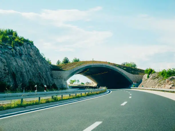 Bridge for animals on the road. Green bridge over the road. Safety bridge to go over the motorway animals. Motorway in Croatia.