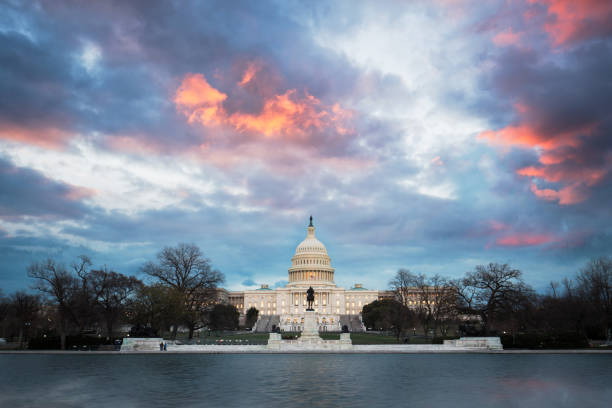 The United States Capitol,Washington, D.C.