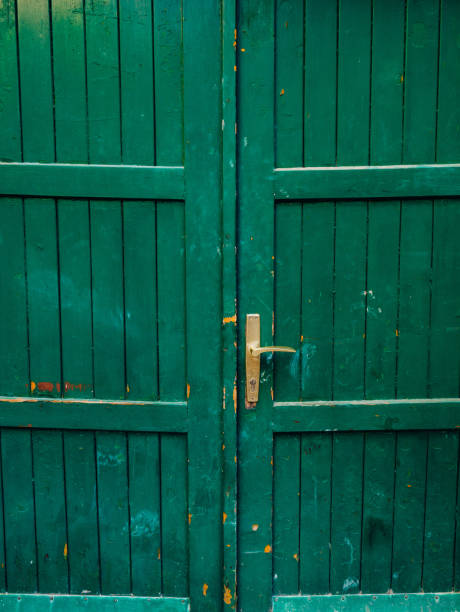 Green doors. Wood texture. Old shabby, irradiated paint. Old wooden doors