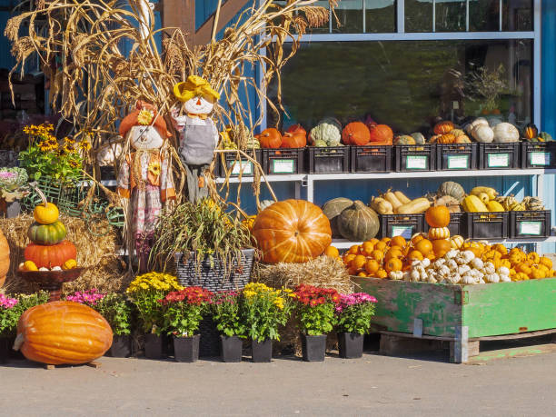 Fall produce arranged on a display during Thanksgiving season stock photo