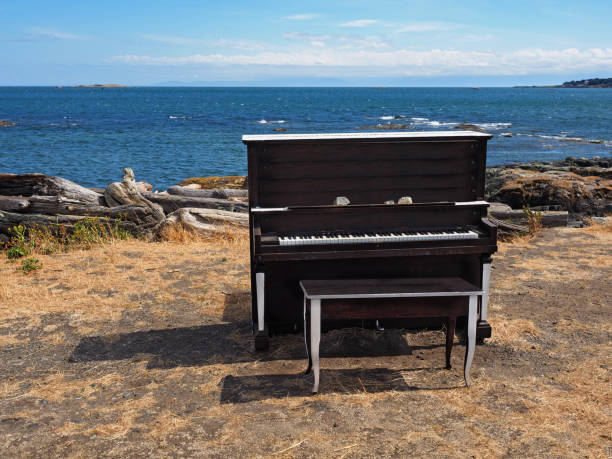 istock Old piano set on the beach for public enjoyment 658032866