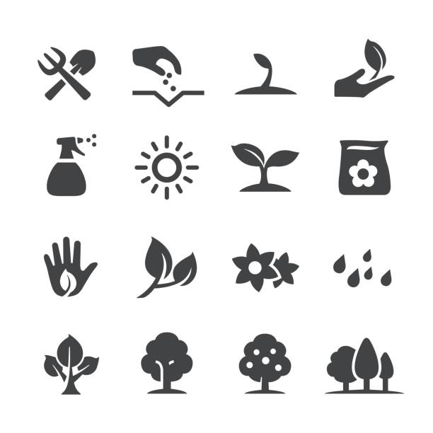 rosnące ikony - seria acme - pączek etap rozwoju rośliny stock illustrations