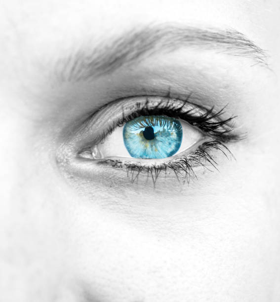 istock Beautiful blue woman eye 658058948