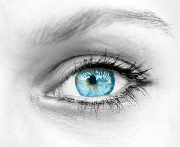 istock Beautiful blue woman eye 658058950