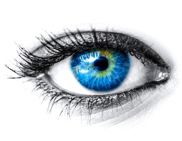 istock Blue woman eye macro shot 658064018