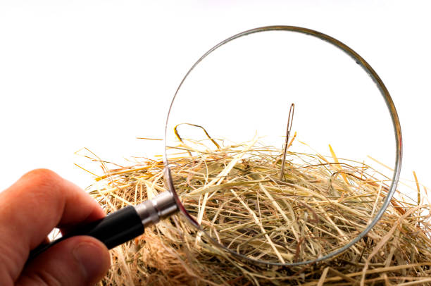 Looking for the needle in the haystack The idiom or the figure of speech “look for a needle in a haystack” is used to describe something elusive in a large space or a sisyphean task. Magnifying glass on the needle is isolated on white needle in haystack stock pictures, royalty-free photos & images