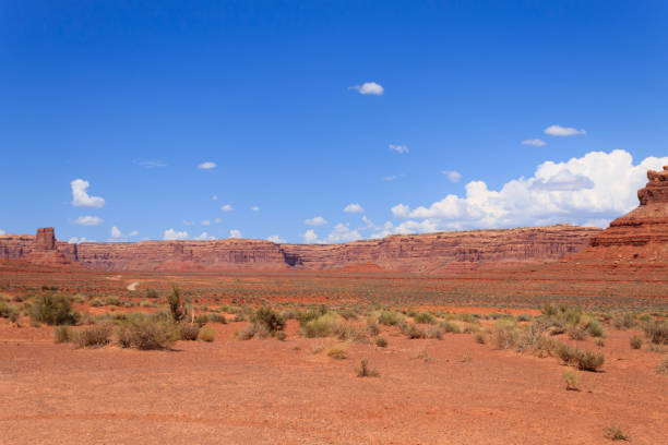 istock Valley of the Gods view 658065680