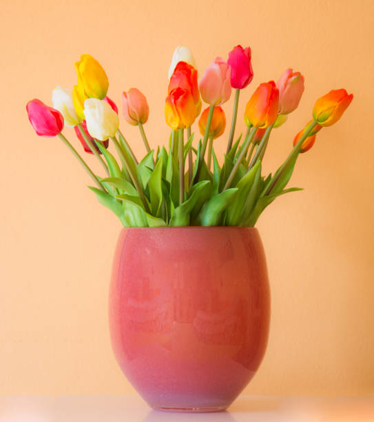 istock Tulip flower bouquet in a vase 658078992