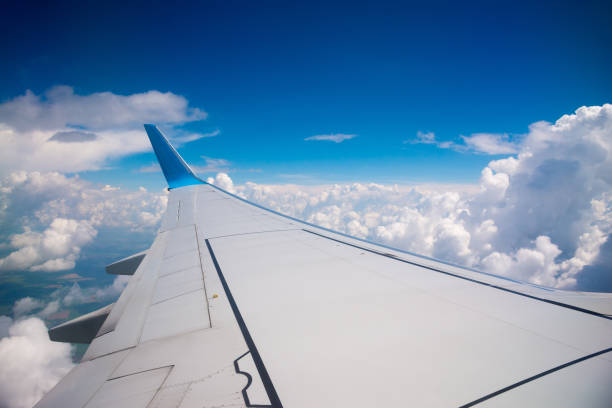 istock Wing of the plane on blue sky background 658079238