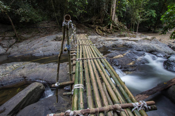 istock Bamboo bridge at Pa La-U Waterfall,Thailand 658083264