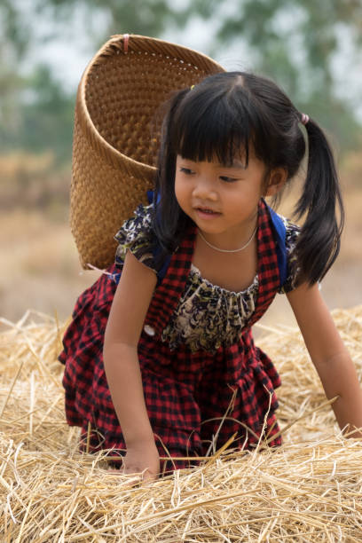 istock Cute Asian Girl With Basket 658085836