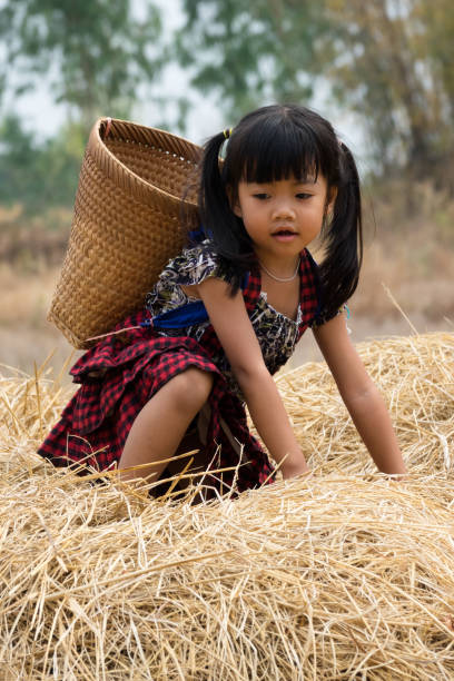 istock Cute Asian Girl With Basket 658085848