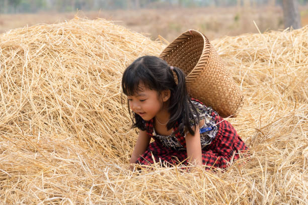 istock Cute Asian Girl With Basket 658085880
