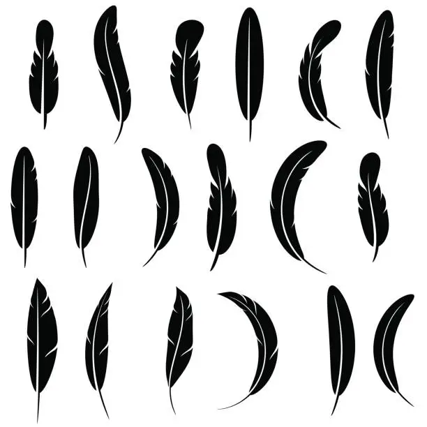 Vector illustration of Feather Silhouette Collection Isolated
