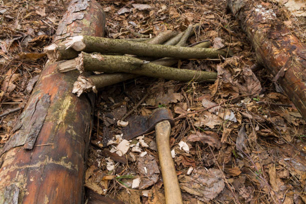 istock Cutting firewood to the fire. Ax and firewood. 658089058
