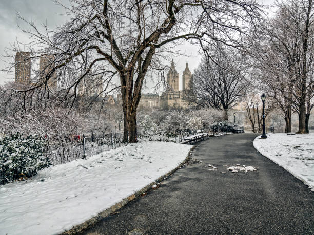 istock Central Park, New York City winter 658096336