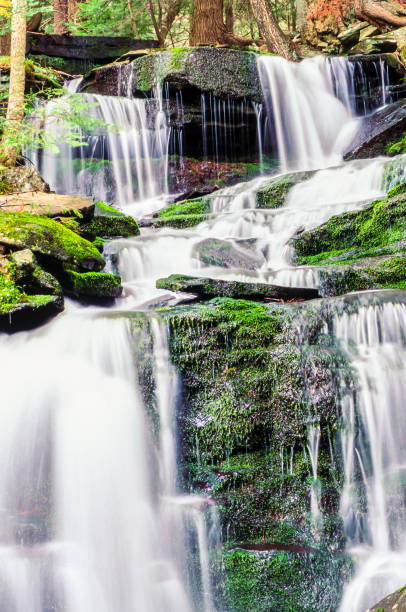istock Ricketts Glen harbors Glens Natural Area 658097418