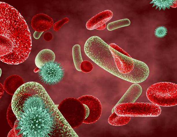 istock Viruses and bacterias attacking human blood cells. 658107606