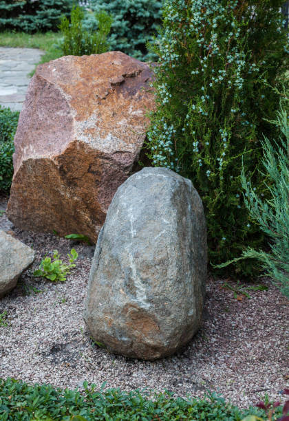 istock Rockery in the garden. 658111438