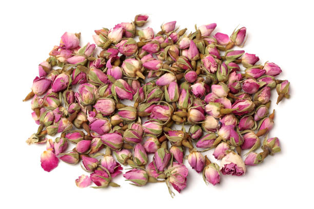 istock Roses for tea   at white background. Isolated 658118910
