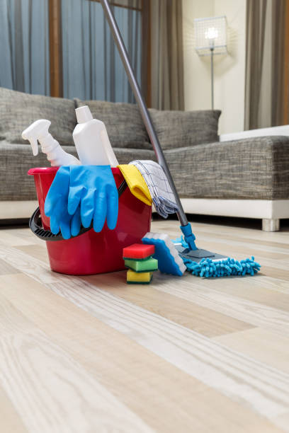 istock Cleaning service. Sponges, chemicals and mop. 658122066