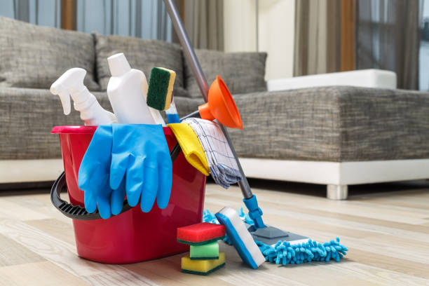 istock Cleaning service. Sponges, chemicals and mop. 658122098