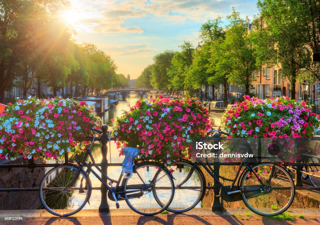 Amsterdam summer sunrise II Beautiful summer sunrise on the famous UNESCO world heritage canals of Amsterdam, The Netherlands, with vibrant flowers and bicycles on a bridge Amsterdam Stock Photo