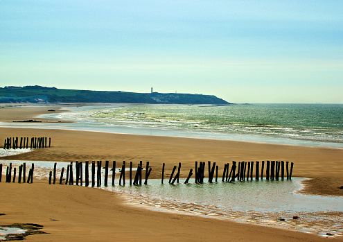 Landscape of French Atlantic Coast with Wooden Breakwaters Outdoors near Sangatte, France