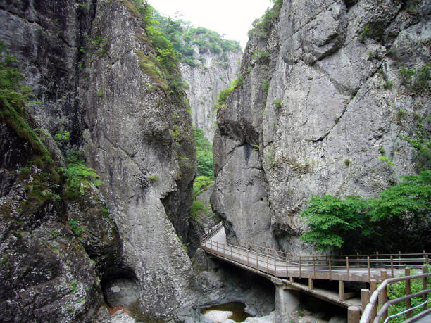 istock Mt. Chuwang National Park 658129650