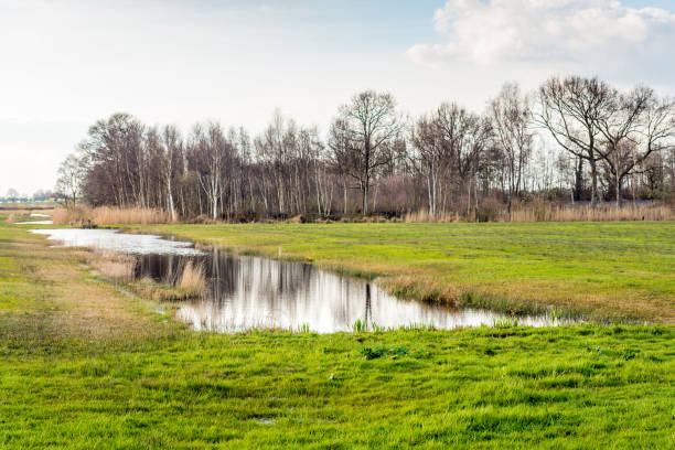 istock Rural landscape with bare trees and a natural pond 658130786