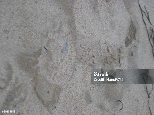 Sand Scenes On The Beach Of Heidkate Stock Photo - Download Image Now - 2002, Agriculture, Antique