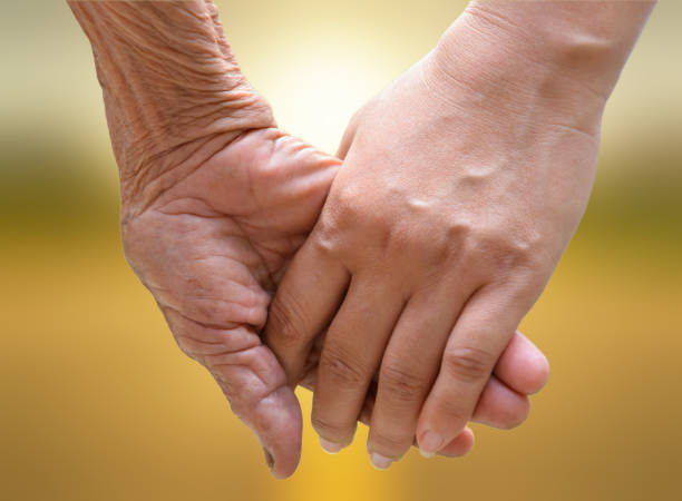 istock Senior and young holding hands at sunset. 658134884