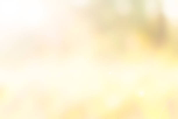 istock Abstract colorful of nature background. 658140658