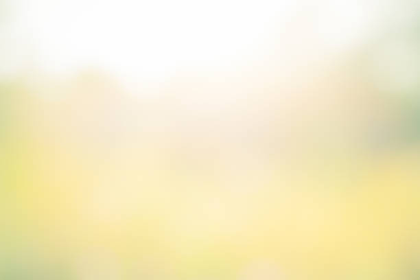 istock Abstract colorful of nature background. 658140700